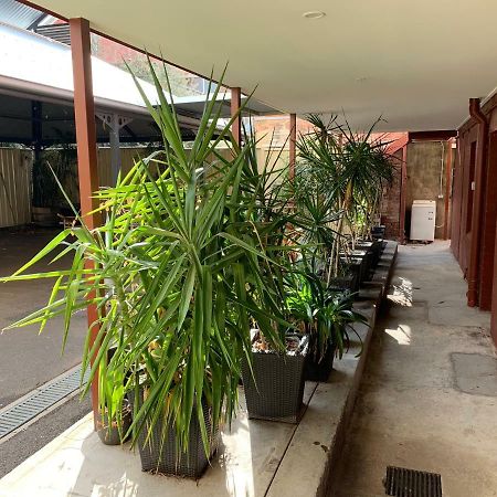 Crown Cbd Motel - City Location Бендиго Екстериор снимка
